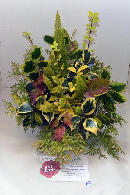 11. Best foliage arrangement.jpg